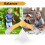 Magic Balancing Bird Science Desk Toy Children Learning,Random Color 4