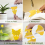 30PCS Fruit Fly Traps Insects Bugs Catcher Sticky Gnat Killer 10