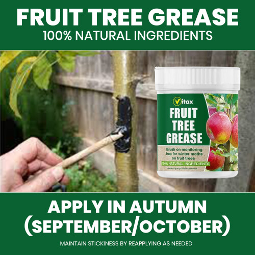 Vitax Vitax Fruit Tree Grease 200g Pack of 3 2