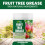 Vitax Vitax Fruit Tree Grease 200g Pack of 3 11