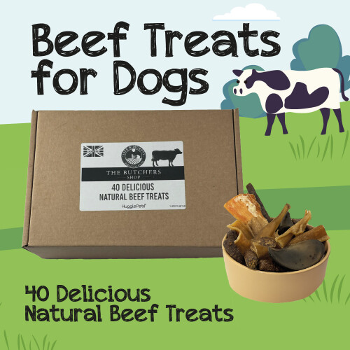 HugglePets HugglePets Assorted Natural Dog Beef Treat Box (40pcs)