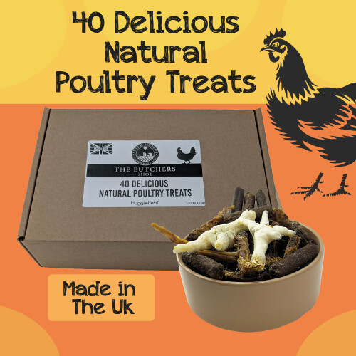 HugglePets HugglePets Assorted Natural Dog Poultry Treat Box (40pcs)