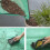 Plant Mat Extra Large 100x100cm Foldable Thickened Black 3