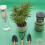 Plant Mat Extra Large 100x100cm Foldable Thickened Black 2