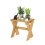Table d'appoint d'ext   rieur Furinno Tioman avec support     fleurs en bois de pin 5