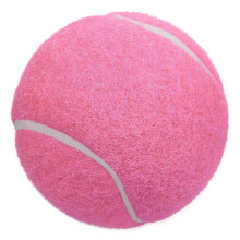 Tennis Balls, 12 Pack Advanced Training Balls for Beginners