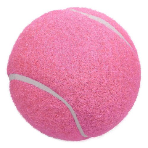 Tennis Balls, 12 Pack Advanced Training Balls for Beginners