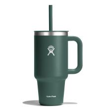 Hydro Flask All Around Reisebecher, Tanne, 32 oz
