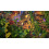 Microsoft Minecraft Dungeons Ultimate Edition     PlayStation 4 5