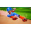 Little League World Series NSW 5