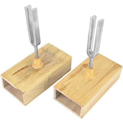 2 with resonator box, experimental tool with a vibration 440 Hz with 1 blade 1
