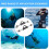 Scuba Diving Fin Spring Heel Strap  Stainless Steel Adjustable Buckle  Quick Release 3