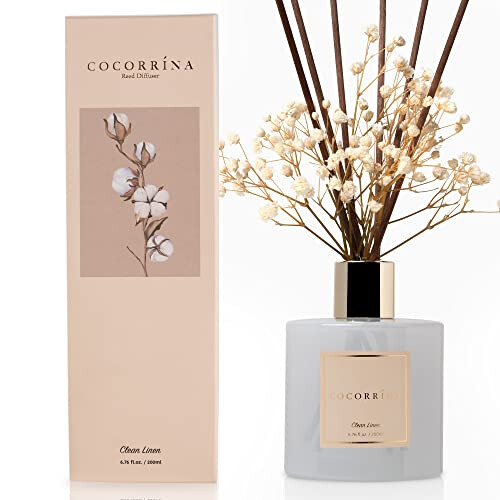 Cocorr