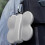 suitable for Butterfly Storage Box Drop-Proof Carrying Case Dust-Proof Portable Body Bag Protective 2