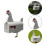 Farm Garden Yard Post Box Animal Post Box Mailbox Unique Creative Fun Mailbox Chicken Mailbox -CDSX 2