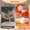 Egg Shell Opener suitable for Hard Boiled Eggs, Egg Peeler Tool Handheld Egg Topper Cutter Tool Easy 2