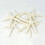 24pcs White Finger Starfish 5-10cm Decorative Five-finger Starfish 2