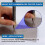 Spring Nail,Dual Heads Nail Setter,4pc Hammerless Door Hinge Pin Removal Tool,Striking Force Spring 2