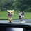 Bobblehead Husky Dog compatibel Auto Dashboard Mini Bobbling Head Speelgoed Fig-cheng du 2