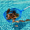 Poolskimmer Poolnet med 3-sektioners stang, Poolskimmernet 3