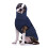 Dog Anxiety Vest,Thunder Jacket for Large Dog Calming Jacket,S 1