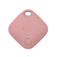 Localizzatore GPS Bluetooth per animali domestici Chiavi per Trova la mia app D
