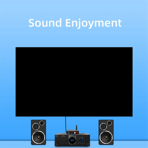 & BT 5.0 192Khz/24Bit Hifi Convertitore digitale-analogico per 2