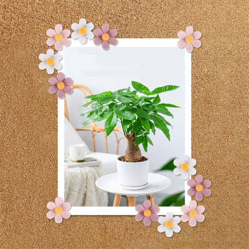 Blomstertegnestifter Korkopslagstavle Tommelstifter Tegnestifter 1