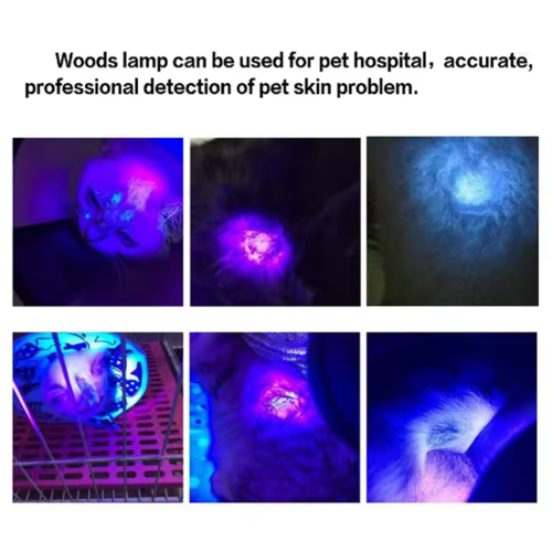 Professional Lamp Skin UV Analyzer Wood Lamp Skin Test Machine (EU) 1