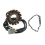 Junta da bobina do estator para Viking 700 2008-2013 700 1