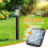 Solar Pathway Lights 5