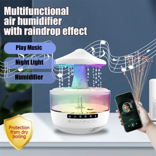 Rain Cloud Humidifier 1