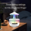 Rain Cloud Humidifier 7