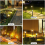 Solar Pathway Lights 6