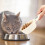 Tierfutter-Messlöffel und Hundefutter-Messbecher mit digitaler Waage 5
