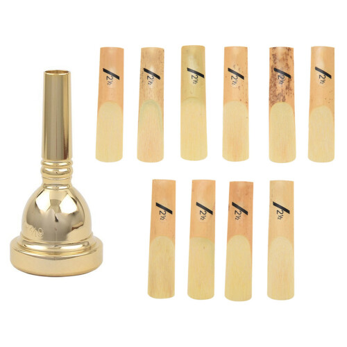 10 kpl alto-saksofoniin kielet – Classic Alto