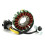 Stator Coil for 800 951 GTX GSX RX XP 95-03 2