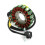 Stator Coil for 800 951 GTX GSX RX XP 95-03 6