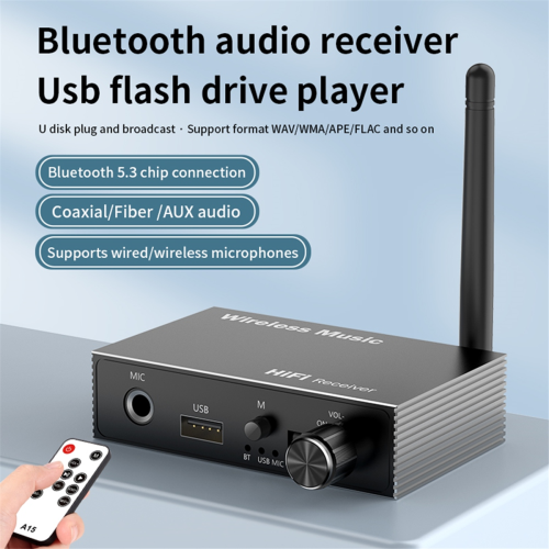 Ομοαξονικός δέκτης ήχου Bluetooth 5.3 οπτικών ινών, παραδοσιακού τύπου 2