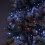 Premier 18.5m 1440 LED Christmas Cluster Multi-Action String Lights with Timer in White 7