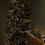 Premier 18.5m 1440 LED Christmas Cluster Multi-Action String Lights with Timer in Warm White 4