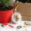 10 Sets 80mm DIY Fillable Balls Clear Plastic Ornaments Balls 2