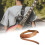 Alça de ombro ajustável para guitarra vintage - cor marrom 7