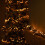 Premier 18.5m 1440 LED Christmas Cluster Multi-Action String Lights with Timer in Vintage Gold 5