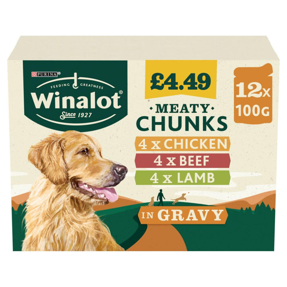 Purina Winalot Meaty Chunks Mixed In Gravy Wet Dog Food 100G (Pack Of 4)