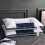 One Cassia Seed Pillow Core 5