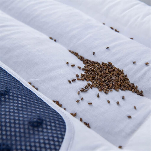 One Cassia Seed Pillow Core 2