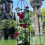 Espalier til klatreplanter, obelisk, haveespalier, 2 stk. (A) 3