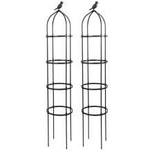 Espalier til klatreplanter, obelisk, haveespalier, 2 stk. (A)