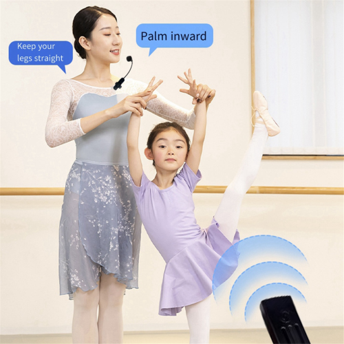 Conjunto de micrófono inalámbrico 2.4G inalámbrico para karaoke Micrófono único 1